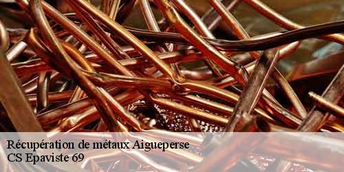 Récupération de métaux aigueperse-69790 CS Epaviste 69