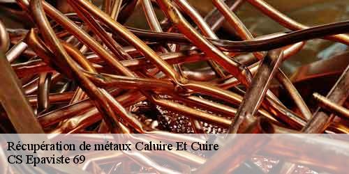 Récupération de métaux  caluire-et-cuire-69300 CS Epaviste 69