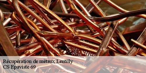 Récupération de métaux lentilly-69210 CS Epaviste 69