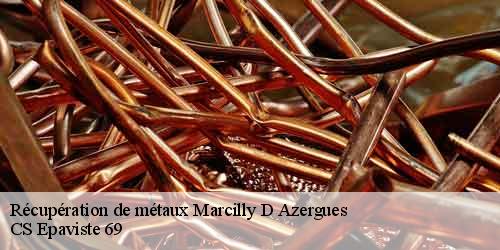 Récupération de métaux  marcilly-d-azergues-69380 CS Epaviste 69