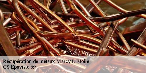 Récupération de métaux marcy-l-etoile-69280 CS Epaviste 69