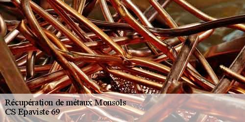 Récupération de métaux monsols-69860 CS Epaviste 69