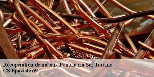Récupération de métaux pontcharra-sur-turdine-69490 CS Epaviste 69