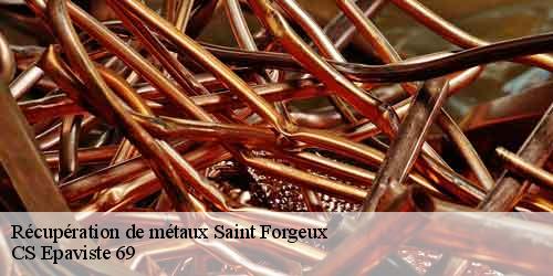 Récupération de métaux saint-forgeux-69490 CS Epaviste 69