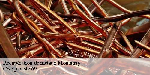 Récupération de métaux montanay-69250 CS Epaviste 69