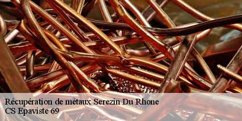 Récupération de métaux serezin-du-rhone-69360 CS Epaviste 69